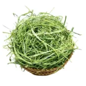 【原生牧草小舖】腸道護理小寵牧草 過篩 苜蓿 提摩西一割甜小麥草燕麥草百幕達乾草高纖促消化餵食兔子龍貓豚鼠荷蘭豬不易軟便