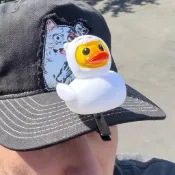 RIPNDIP LORD DUCKIE CLIP (3 PACK) 彈簧 髮夾組 中指貓 台灣總代理-ALL