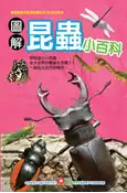 【灰熊iREAD】圖解昆蟲小百科 幼福編輯部