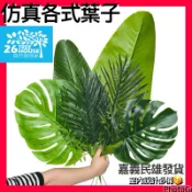 仿真葉子😇亞馬遜叢林葉片😇仿真龜背葉 假葉子 蒲葵葉 盆栽 北歐扇葵 旅人蕉 綠植扇葵 龜背葉 散尾葵造景植物 人造綠植