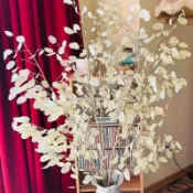 森禾|💮（新品銀扇草種子）多年生金錢花、銀幣草 月亮草種子 家居裝飾果莢種子 盆栽露台庭院可種植 95%發芽率