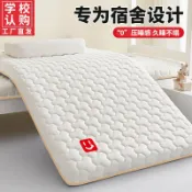 拾光藏寶閣 【宿舍專用】記憶棉床墊 乳膠床墊 學生床墊 單人床墊 90x190cm 床褥墊 加厚透氣 軟硬適中 可折疊收納 住校必備