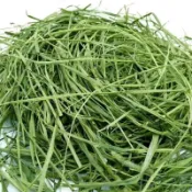 【 萌寵健康牧草屋】無霉變優選小寵牧草 過篩 美國提摩西一割 二割 百幕達 苜蓿 澳洲燕麥草 甜小麥 兔子龍貓豚鼠荷蘭豬