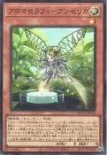 (再生卡舖) 遊戲王 QCCU-JP162 芳香熾天使 歐白芷   韓紙 亮面 閃卡