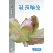 (店+)【天橙種子】紅羨蘿蔓萵苣種子 直立萵苣 約1公克 9~2月播種 葉菜類種子  興農種苗 家庭園藝 彩色原包裝