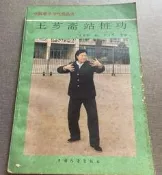王薌齋站樁功