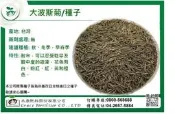[禾康肥料] 大波斯菊 