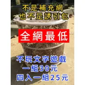 【台灣出貨】斜槓老王 [蒼蠅王] 捕蠅器補蠅器(單入組)