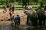 【Lion Travel 雄獅旅遊】泰國-清邁蘭納大象保護區Lanna Elephant Care半日遊