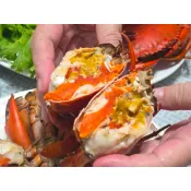 興達港林家野生熟食紅蟳（中）