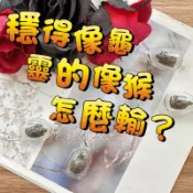 【A02龍婆艮能】-招財神龜背靈猴 三蛙D卡 泰國佛牌聖物 擺飾飾品禮物 招財 長壽 風水小物
