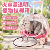 【大容量透明寵物拉桿箱】寵物拉桿箱 透明貓包 外出便攜 貓咪背包 透氣狗包 行李箱 寵物出行箱 貓咪外出背包 貓咪外出行