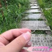 🚛台灣出貨🚛50把咕卡貼紙迷你透明扇空白mini娃用小朋友小扇子diy手工幼稚園sdfs