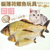 貓玩具 貓薄荷鯽魚玩具 寵物玩具 鯽魚 貓草 寵物用品 寵物 寵物 貓用品 貓抱枕 貓枕頭 貓奴必備