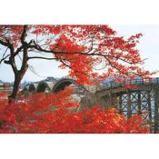 P2 - HM100-233 錦帶橋の楓紅拼圖1000片