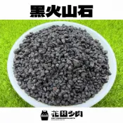 《花田多肉II》🌵【黑火山石】 500ml 鋪面石/石頭/介質/多肉/塊根/龍舌蘭/仙人掌/園藝/盆栽/造景
