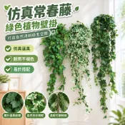 【新品免運】仿真常春藤綠蘿爬山虎植物墻配材綠色植物壁掛仿真藤蔓葉子綠植 KEKM