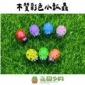 (店+)《花田多肉》🌵【木質彩色小瓢蟲】 組盆/微景觀/多肉/裝飾/多肉組合/擺飾/小物/仙人掌/觀葉/園藝/盆栽
