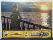 【全新未拆 代理】 一番賞 海賊王 航海王 15周年 動畫 感謝祭 V賞 香吉士 設計風格桌墊