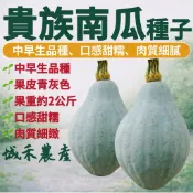 城禾農產🍃 日本貴族南瓜種子 6粒 貴族南瓜種子 日本南瓜種子 日本貴族南瓜種子 貴族南瓜種子 南瓜種子 栗子南瓜種子