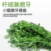 【青青草原寵物館】過篩 百幕達 提摩西一割 二割 苜蓿 燕麥草 甜小麥寵物牧草幼寵專用細嫩牧草好咀嚼不會卡喉嚨