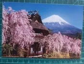 明信片- 空白明信片 日本富士山 櫻花  明信片