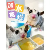 現調【萌鼯】蜜袋鼯食譜粉｜HPW/BML/GHPW｜加水即食｜蜜袋鼯主食｜蜜袋鼯食物營養配方｜倉鼠蜜袋鼯奶粉冷凍食譜