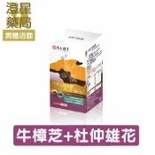 澄星藥局 【免運⭐多件優惠】 萬大酵素 牛樟芝菌絲體 杜仲雄花 膠囊 60顆/盒 全素膠囊 三萜類40毫克