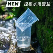 新款｜控根水培套盆｜斑啾植選｜觀葉植物｜青山盆｜控根盆｜多肉植物｜龜背芋｜觀音蓮｜呼吸盆｜龜背芋｜室內植物｜盆栽