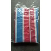 超厚型紅藍白帆布 10呎x16呎 (遮汽車尺寸) 防水帆布 遮雨帆布 塑膠布_真俗五金賣場