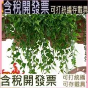 模擬植物25葉常春藤壁掛 假植物家居吊頂裝飾 植物牆配材藤蔓垂吊 spe-1851