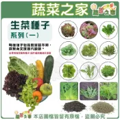 (店+)【蔬菜之家】新手生菜類種子系列一各包裝數量詳見內文及圖片說明水耕種子 水耕蔬菜 萵苣 羽衣甘藍 生機飲食
