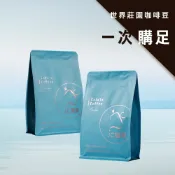【JC咖啡】精品莊園咖啡豆 [任選] 藝妓咖啡/阿里山咖啡/耶加雪菲/巴拿馬等產區│方便一次買齊 -半磅/包(230g)