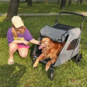 {保固~免稅}寵物推車大型犬狗狗外出拉車二哈巨型大推車傷病犬老年犬手推車 KFZ8