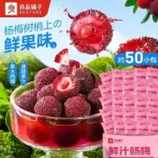 【桃園出貨】良品鋪子 鮮汁楊梅乾 95g/約3包 楊梅幹 楊梅 饞嘴小零食