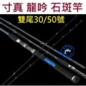 【世界釣具】免運🔥TSUEN CHEN 寸真 龍吟  並繼 雙尾 海釣場 石斑竿 小班竿 船釣竿 \熱銷