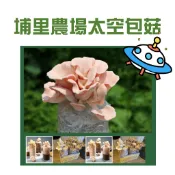 🍄🍄🍄台中埔里養菇農場直送太空包菇 菇菇太空包 菇類DIY種菇 玫瑰菇 香菇 秀珍菇  黑木耳 柳松菇 靈芝菇 耶誕跨年