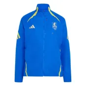 (店+)【adidas 愛迪達】KE8238 adidas BOSTON MARATHON 2026年波士頓馬拉松 CELEBRATION 保暖插肩立領跑步外套 女款