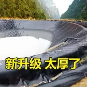 魚池防水布水池防水帆布水產養殖塑嘐布蓄水池蜾園蓄水專用加厚