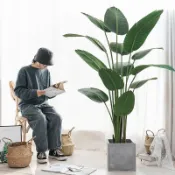 🔥臺灣出貨🔥 仿真綠植旅人蕉散尾葵室內客廳北歐裝飾擺件假植物大型盆栽樹落地
