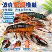 🌈「動物世界」兒童仿真海洋動物波士頓龍蝦模型美洲螯蝦緬因龍蝦裝飾擺件