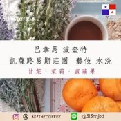 【387 The Coffee】✨獨家藝妓✨濾掛式咖啡包｜巴拿馬波奎特｜凱薩路易斯莊園｜水洗｜淺度烘焙