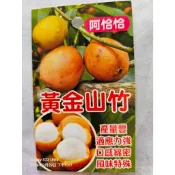 黃金山竹阿恰恰實生苗/新興果樹/熱帶果樹/平地會生/早產/盆栽