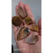 【巧設計 花東石 】2106  1公克3~5元 切片 半成品 碧玉 黃碧玉 虎斑 血絲 裸石 DIY 原石 原礦 台灣礦