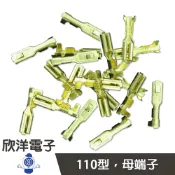 ※ 欣洋電子 ※ 110型母端子/公端子 (GS-4789A)(GS-4789B)