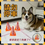 (店+)獨家訂製 請勿停車三角錐 尿尿立柱 尿柱 狗狗用品 寵物用品