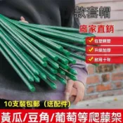千織屋 爬藤架 葡萄藤桿 黃瓜支架 豆角爬架 種菜花支架 庭院園藝植物支撐桿 西紅柿架 菜園支架 果蔬支架