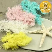 【網紅同款】一永生蓬萊松2克永生材手工作配材diy材料配材禮盒玻