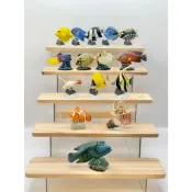 老吉科🌲日本絕版 YUJIN 原色鑑賞魚図鑑 圖鑑 海水魚 獅子魚 小丑魚 食玩 盒玩