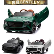 賓利 BENTLEY Bacalar GT 超跑電動車 遙控電動車童車RT-1008充電線 充電線 電瓶 電池 維修零件